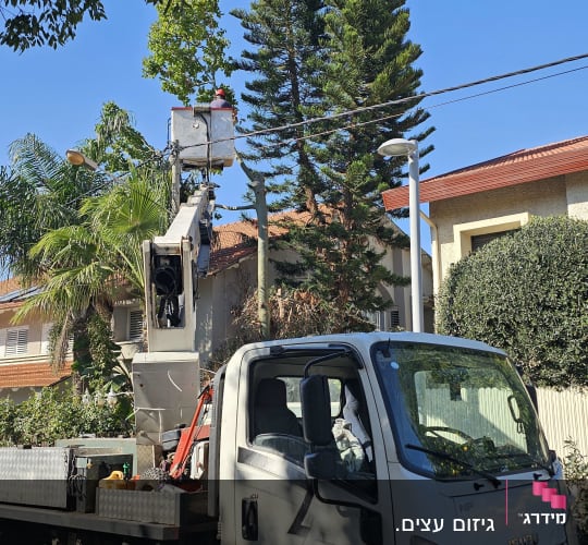 משאית עם מנוף גיזום עצים ברחוב